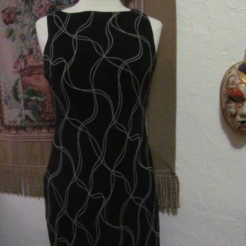 LBD Designer Evan - Picone dress